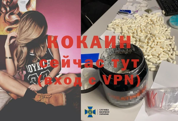 спиды Абаза