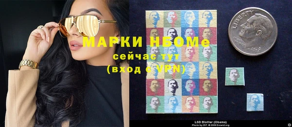 ПСИЛОЦИБИНОВЫЕ ГРИБЫ Алексин