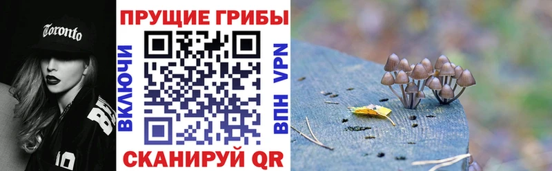 Псилоцибиновые грибы мухоморы  мега как зайти  Жердевка 